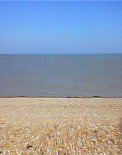 Photo of English Channel from Dungeness